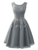 Short Homecoming Dresses Tulle Junior Prom Dress Lace Formal Evening Gowns Appliques